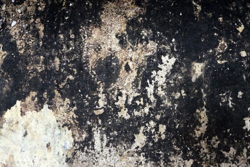 A dirty wall with black paint and peeling sections, illustrating the need for mold removal services in Houston, TX.