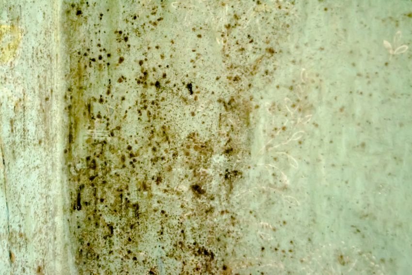 A close-up of a dirty, peeling green wall, highlighting mold concerns, related to basement mold removal in Houston, TX.