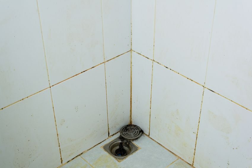 A dirty shower with a corner drain, representing the demand for mold removal services in Houston, TX.