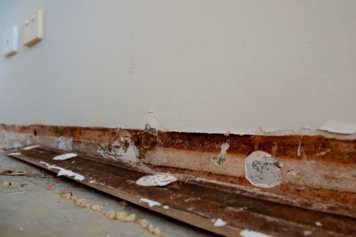 An image of a deteriorating wall, featuring visible mold and areas of peeling paint, indicating poor maintenance.