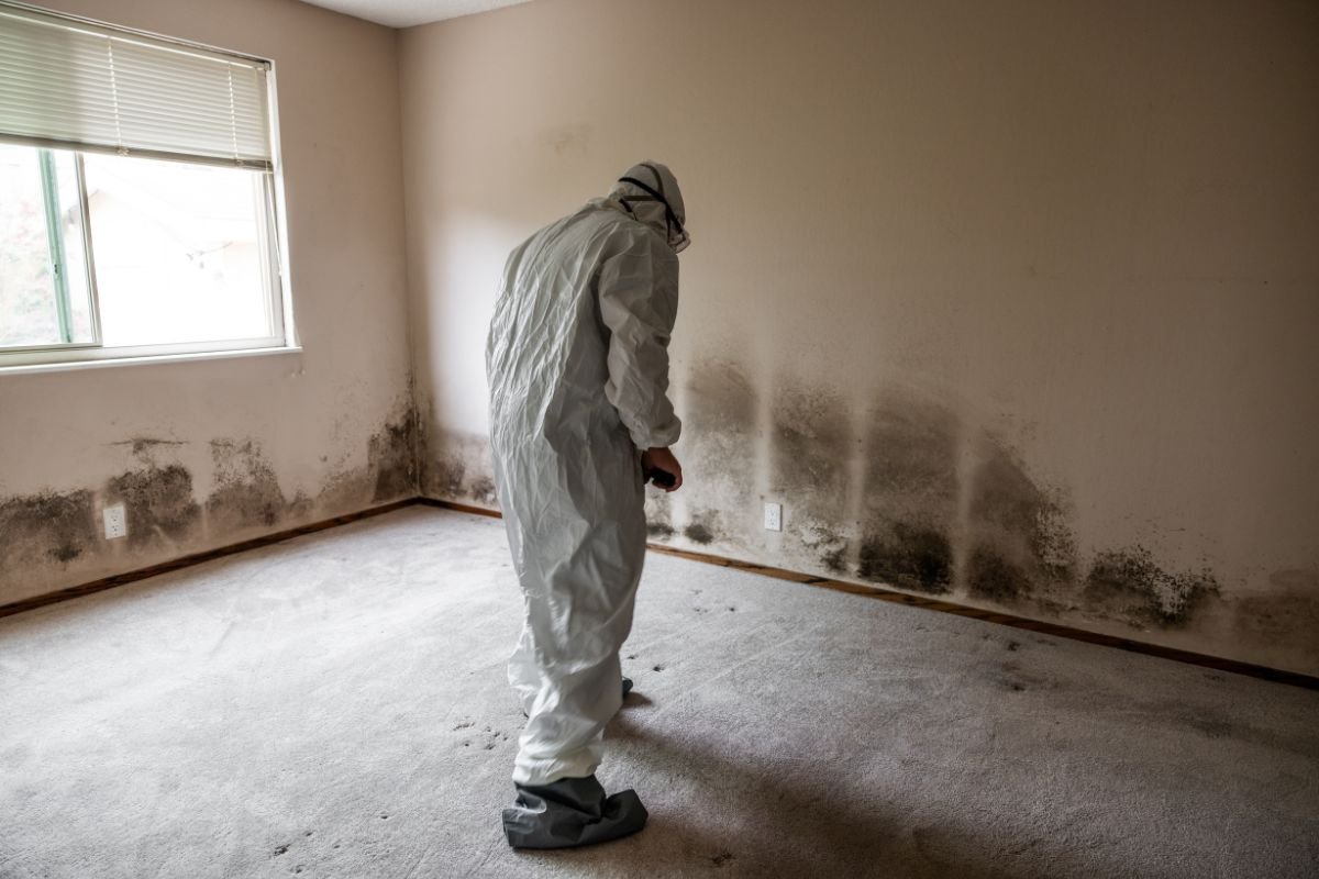 A man dressed in a white suit poses in a mold-infested room, emphasizing the stark difference between elegance and decay.