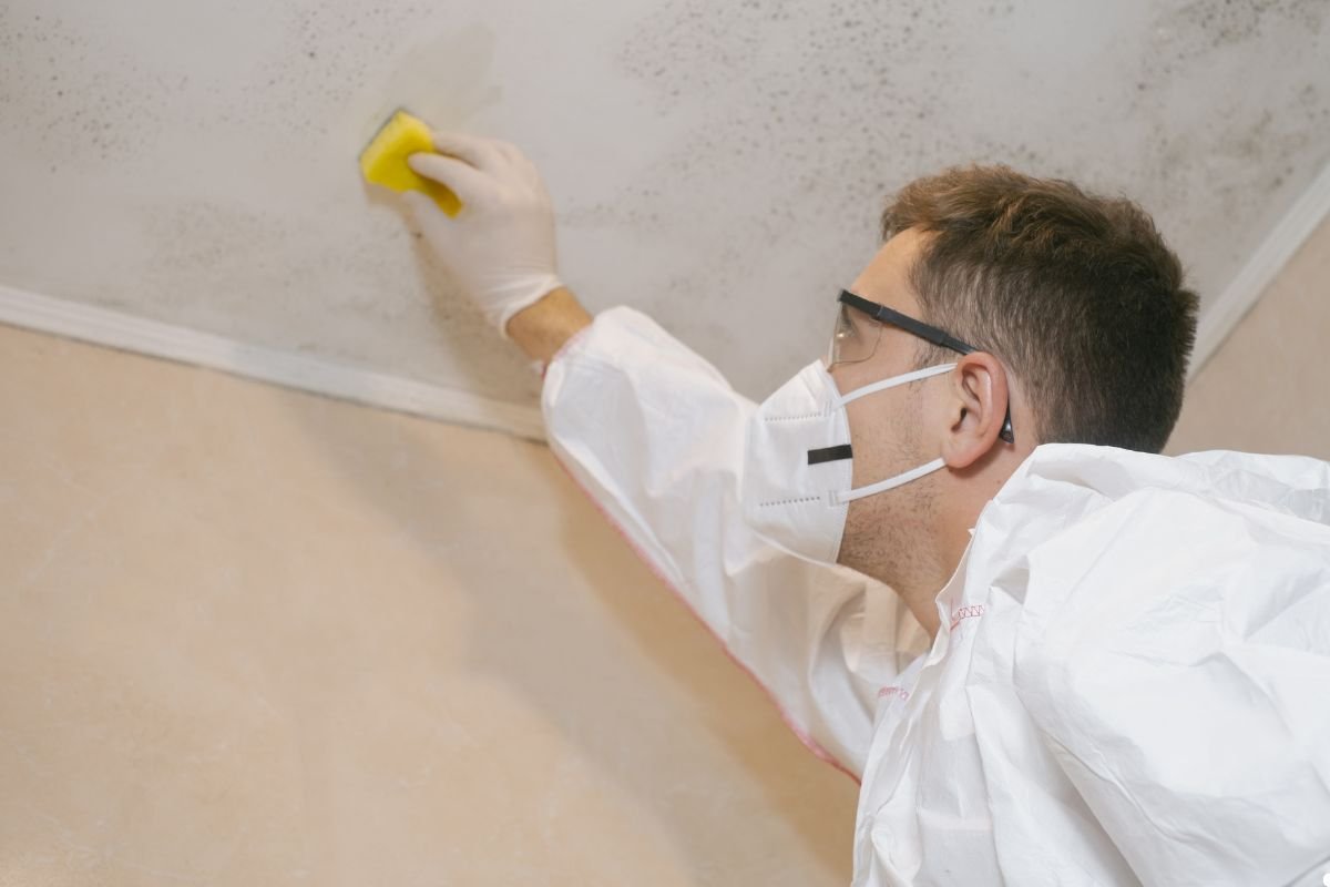 A person in protective gear scrubs a ceiling stained with mold, using a yellow sponge to clean the surface.