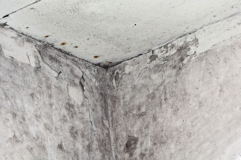 Close-up of a weathered concrete corner, showing peeling paint, stains, and rough texture, indicative of age and deterioration.